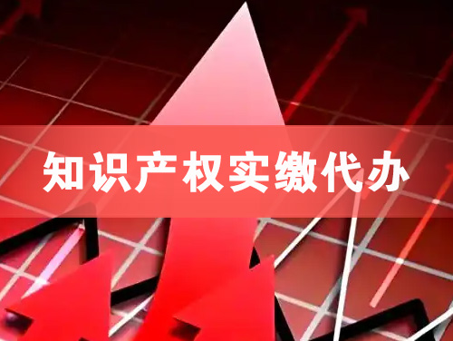 乳山知识产权实缴资本代办